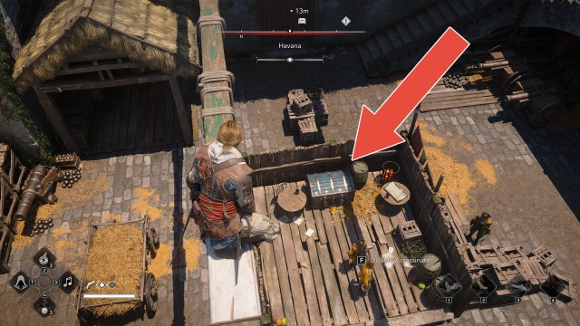 Havana Special Chest