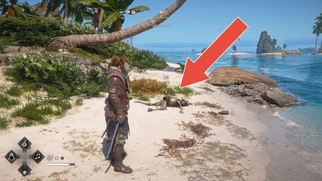 Salt Lagoon Treasure Map - New Bone
