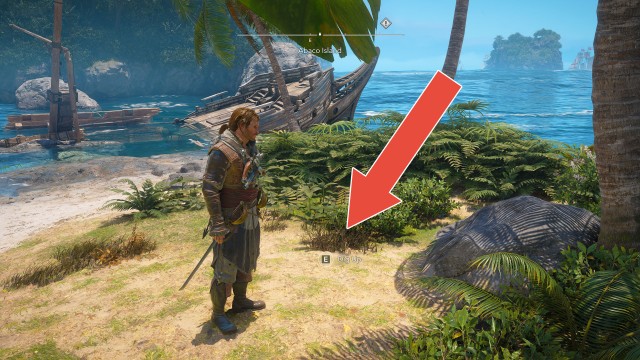 Andreas Island Treasure Map - Abaco Island (Treasure)
