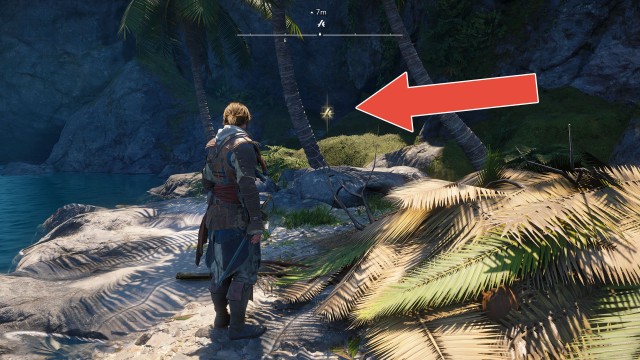 Animus Keys (Fort Dry Tortuga)