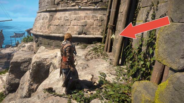 Animus Keys (Fort Gibara)