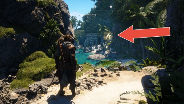 Animus Keys x30