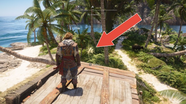 Animus Keys (Île à Vache)