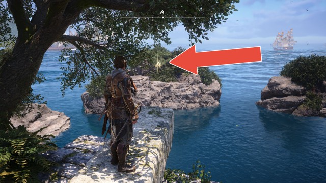 Animus Keys (Chinchorro)