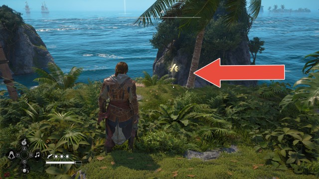 Animus Keys (Dry Tortuga)