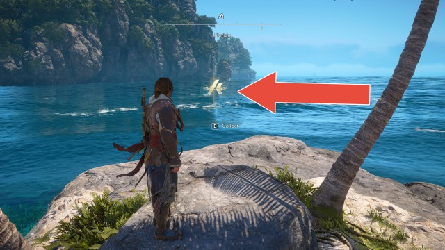 Animus Keys (Dry Tortuga)
