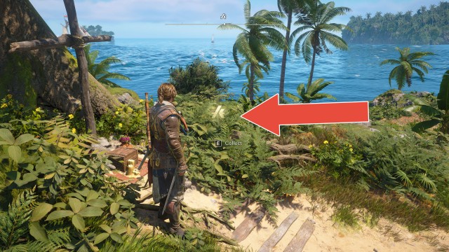Animus Keys (Dry Tortuga)