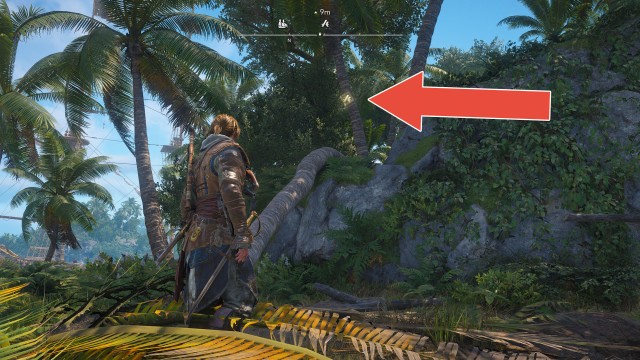 Animus Keys (Eleuthera)
