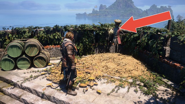 Animus Keys (Fort Serranilla)