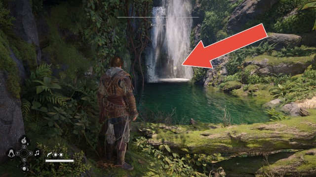 Animus Keys (Kingston)