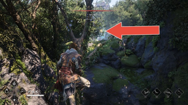 Animus Keys (New Bone)
