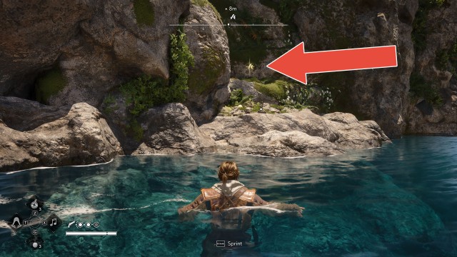 Animus Keys (Punta Guarico)