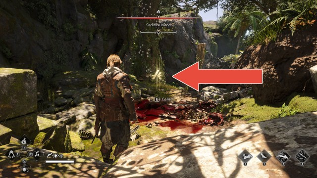 Animus Keys (Sacrifice Island)