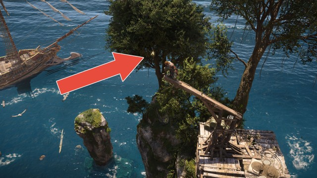 Animus Keys (San Juan)