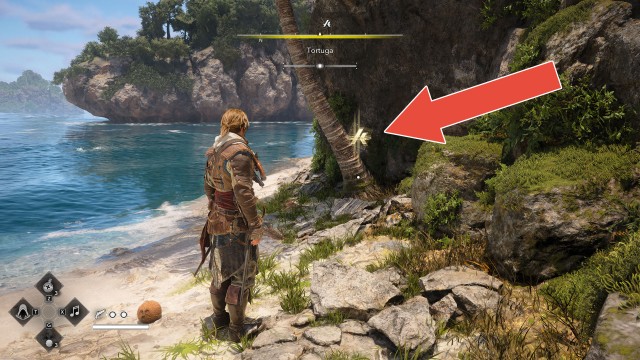 Animus Keys (Tortuga)