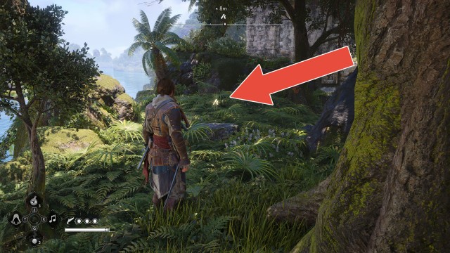 Animus Keys (Serranilla)