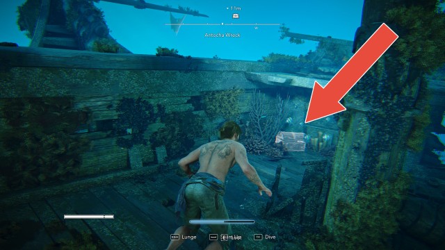 Antocha Wreck Chest #3