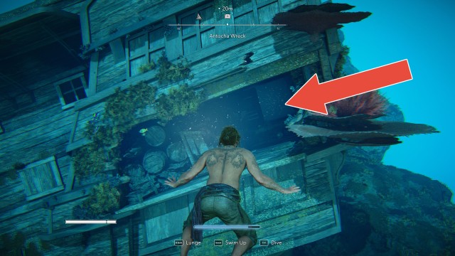 Antocha Wreck Chest #7