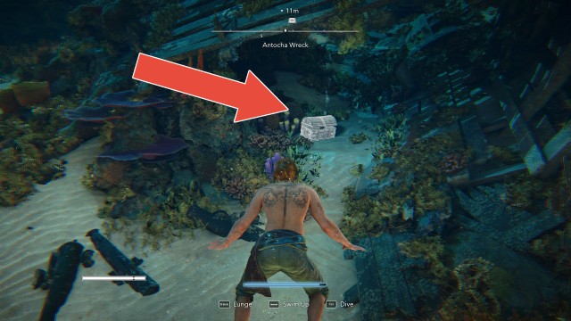 Antocha Wreck Chest #1