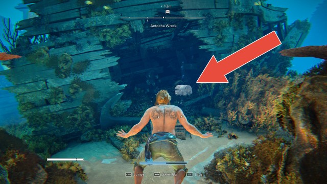 Antocha Wreck Chest #2