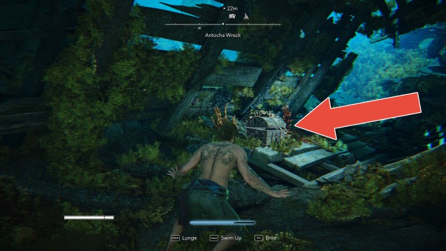 Antocha Wreck Chest #4