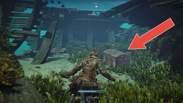 Caracol Special Chest