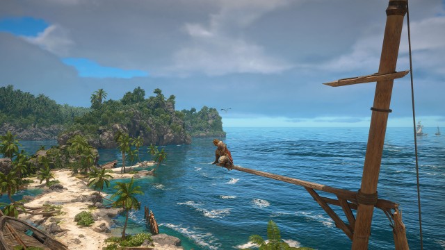 Florida Viewpoint