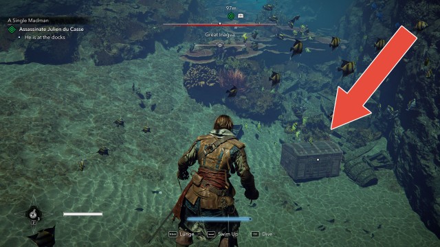 Great Inagua Special Chest #1