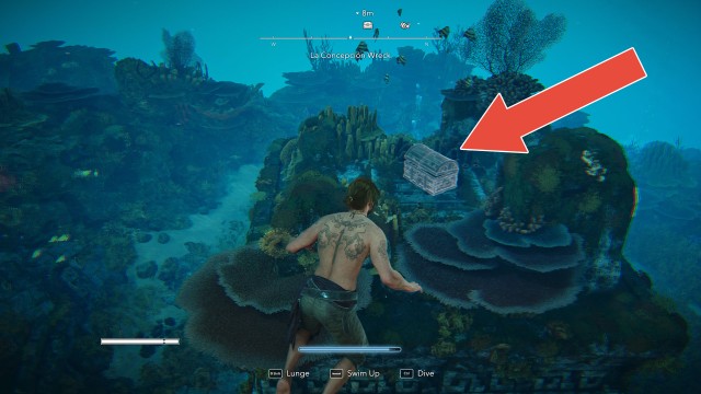 La Concepción Wreck Chest #1