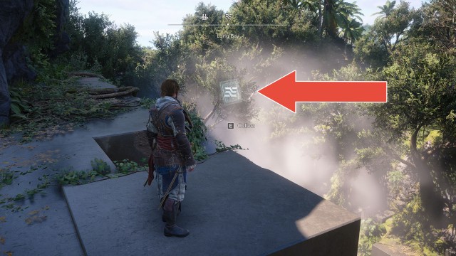 Leaked Image