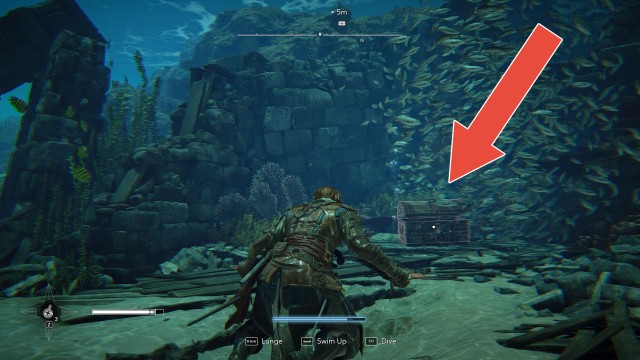 Navassa Chest