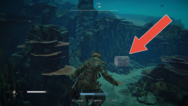 Navassa Chest