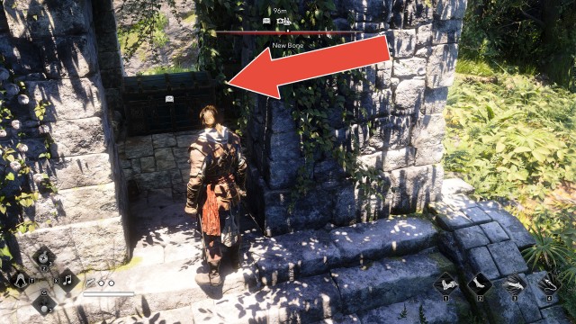 New Bone Special Chest
