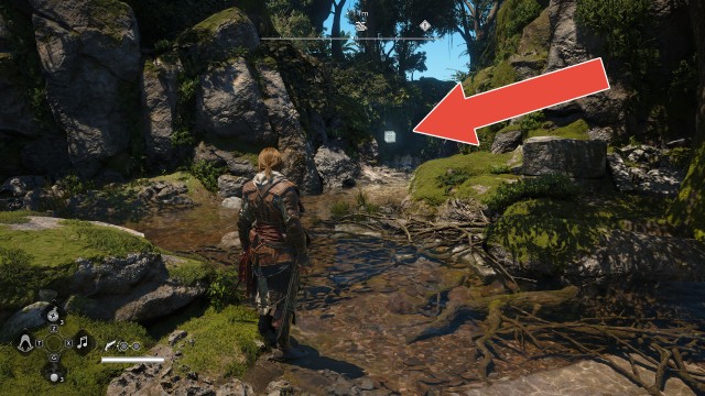 Animus Fragment
