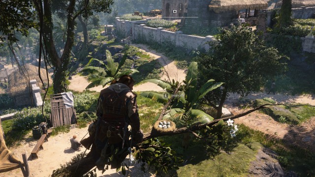 Crow's Nest