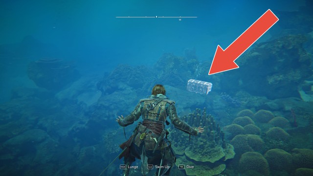 Dry Tortuga Special Chest