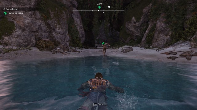 Swim to shore