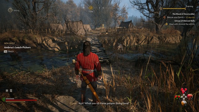 Ambrus's Leech-Pickers