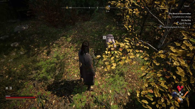Catch the pig