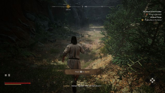Find Lunka in the forest