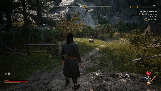 Follow the pig