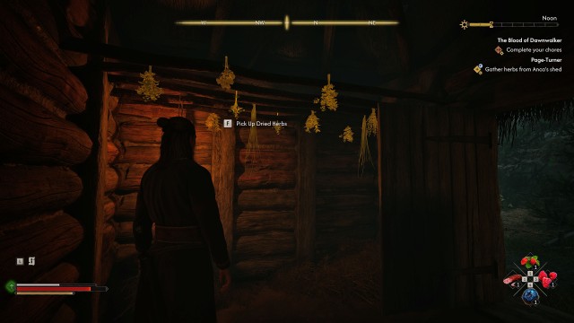 Gather herbs from Anca's shed