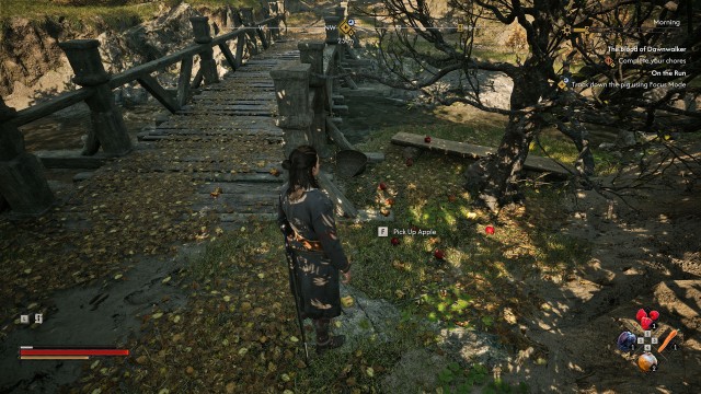 Search for the pig's tracks by the bridge using Focus Mode