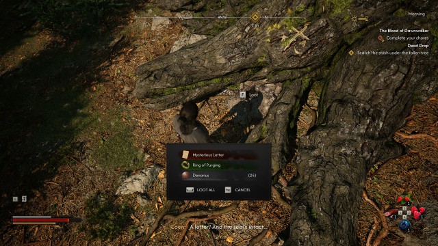 Search the stash under the fallen tree