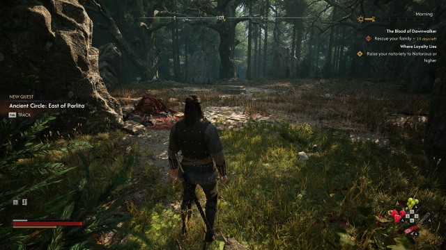 Ancient Circle: East of Parlita