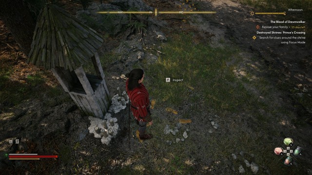Search for clues around the shrine using Focus Mode