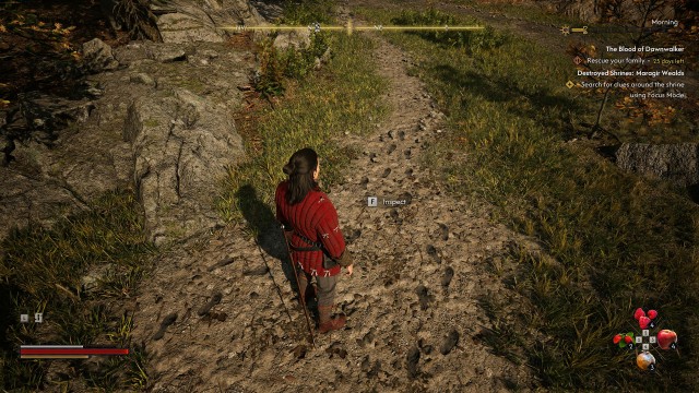 Search for clues around the shrine using Focus Mode