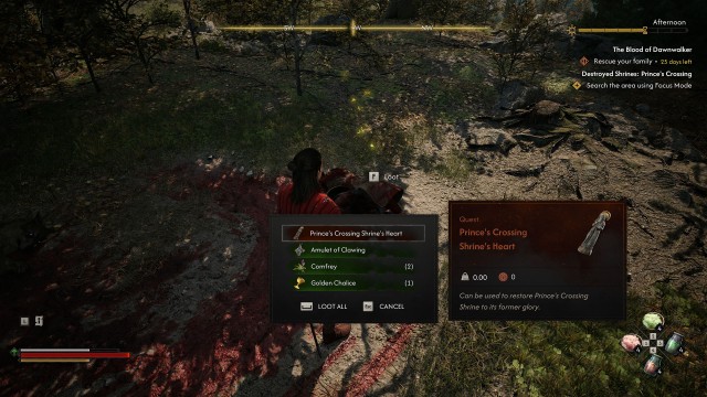 Search the area using Focus Mode