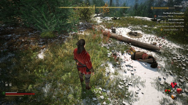 Search the forest (2 Time Segments)