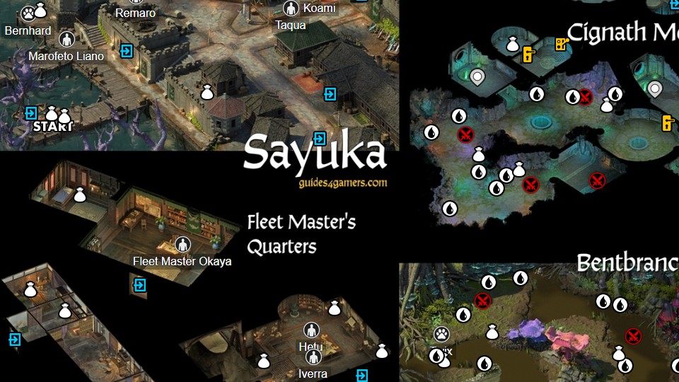 Sayuka, Pillars of Eternity II Deadfire Map